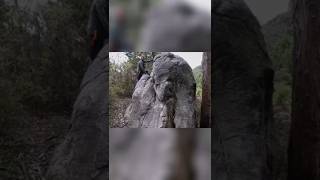 Unlocking Ice Age Secrets: Animal Rock Art Discovered