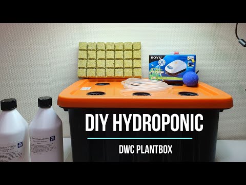 Hydroponics for Beginners! 🚀 Easy DIY DWC System (Part 1 - Complete Build)