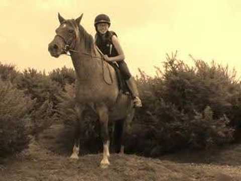 My loan pony rosie (luv her)