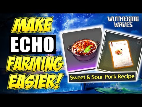 MAKE THESE NOW! Echo Farm Helper! | Wuthering Waves