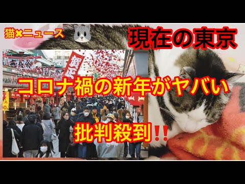 現在の東京がヤバすぎる！日本崩壊　　緊急事態宣言　批判殺到‼︎　(コロナ　ウイルス　新型コロナウイルス　日本　東京　誹謗中傷　炎上　トレンド　バズり　猫✖︎ニュース)#292
