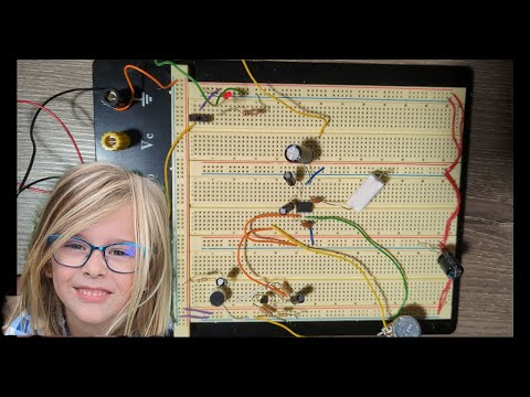 Project: Microphone with Amplified Speaker  - Full Build