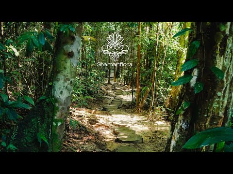 Discover Shamanflora | A Jungle Retreat for Plant Medicine & Wellness