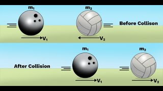Elastic Collision And Inellastic Collision //  Daily Life Example // LT Study4u