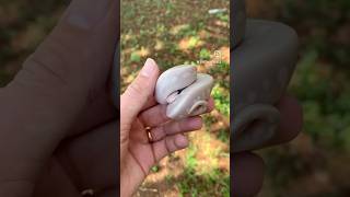 Absolutely LOVE Baby Ball Pythons | #ballpython #pet #reptiles #pets