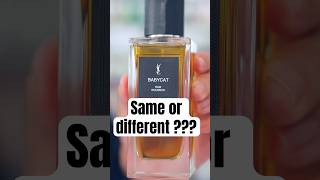 New Babycat Vs Old Babycat fragrance Is there a difference? #yslbabycat #fragrance #cologne #perfume