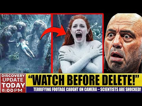 Shocking Footage: This Bigfoot Video Can’t Be AI — Caught On Camera, Scientists Are Shocked!