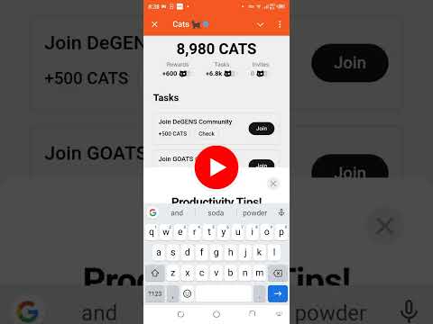 Productivity code, Cats code #shorts #viralshort #youtubeshorts#ytshorts #catshorts #catscode #cats