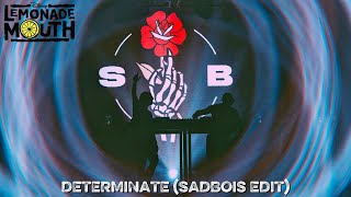 Determinate (SadBois Edit) [Lyric Video]