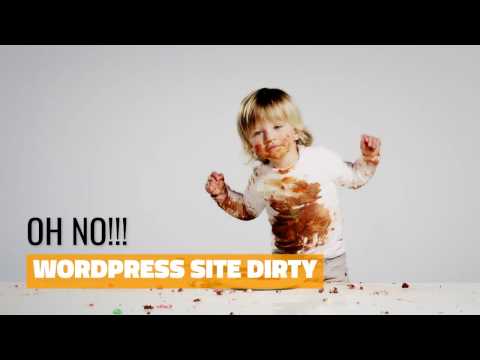 WordPress Infection Malware Virus Removal