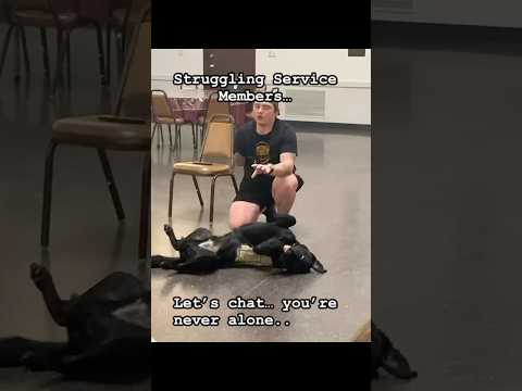 Service Dogs & Veterans: Strength, Not Weakness 🐕‍🦺🎖️ | Why You’re Never Alone #servicedog