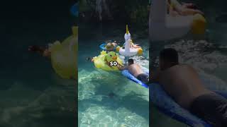 Hidden paradise #Florida #TravelVlog #HiddenGems #ExploreFlorida #TravelInspiration