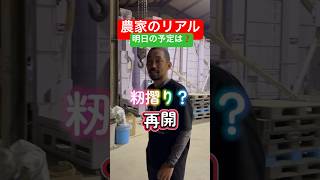 籾摺り後半戦#我田引水 #高刈り君 です…#農家 #農業 #田んぼ #ショート動画 #トラクター #Kubota #iseki #yammar #倉庫 #稲刈り #米 #農作業 #農業ユーチューバー