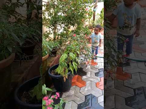 Ayaan watering 😊