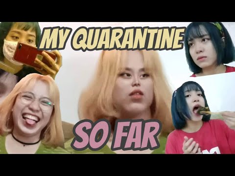 My Quarantine So Far