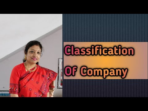 Accounts   Class 2 on Classification of Company