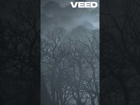 Shadow People Fear Dark Manifestation