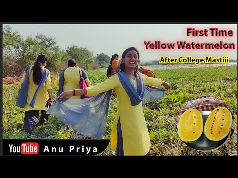Ever Ate Yellow Watermelons? | First Experience #summer #yellowtarbuj #anupriya #ranchi #jharkhand
