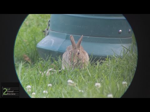 Tis The Rabbit - Up close with the Vortex Crossfire HD 12-36x50