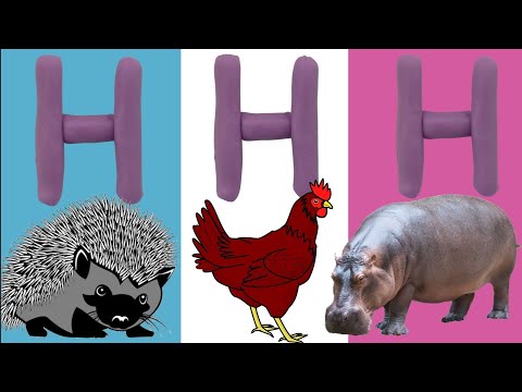 H For Hen| Word Start With H| Alphabet|Phonics H| Kids Video| Kids Education|#words #NerseryRhymes