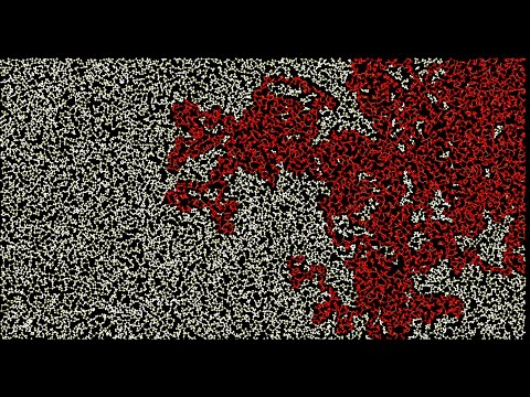 DFS  Visualization | 20,000 vertices | Graph Traversal | Python | Pygame