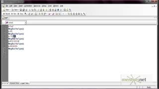 QTP 20 Visual Basic Primer -- VBScript Data Types