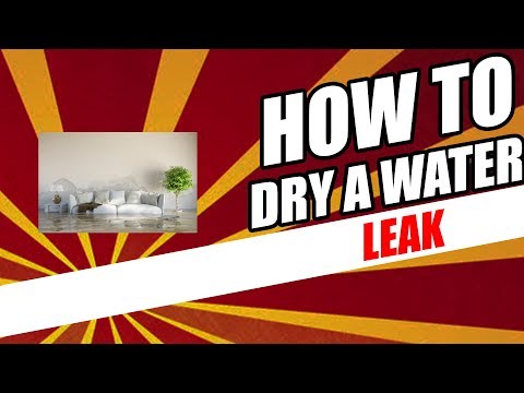 How To Dry A Water Leak | Mold Will Grow If You Don't Take These Steps 😱