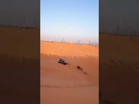 The Most INSANE Desert Safari in Dubai! 🤯 #shorts