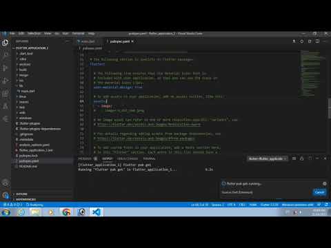 Flutter Mobile App Development Flutter Code में Image कैसे लगाते हैं #flutter #program #image