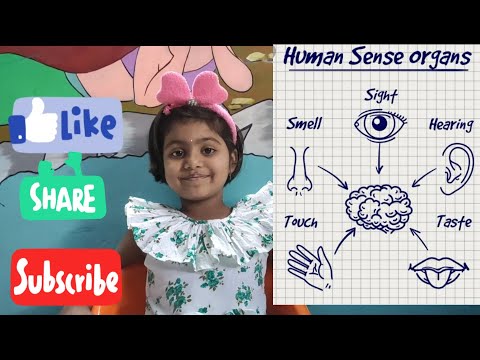 #5 #sense organs#kids Activity
