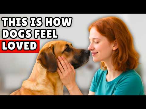 15 Ways to Say “I Love You” in Your Dog’s Language