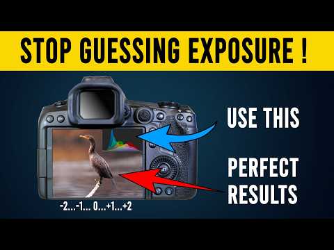 Stop Guessing Exposure Master Histogram, Highlight Warnings & Exposure Meter