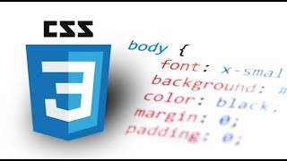 Internal Style Sheet in HTML Web Development