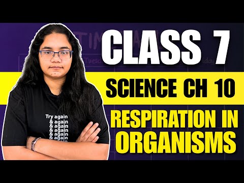 Class 7 Science Chapter 10 One Shot | Respiration in Organisms | NCERT Science Class 7