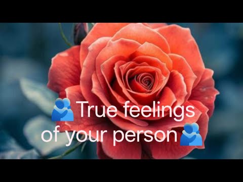 True feelings of your person#tarot#tarotdeck #tarotcards #lovesong #love#yoga#divineenergy#husband