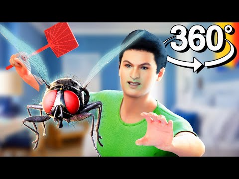 YOU ARE A FLY 360° VR Experience