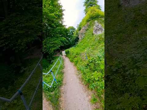 #natur #spazieren #lüneburg