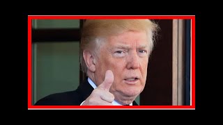 Us Latest News - Until mueller is done, trump should be blocked from stacking the courts