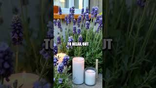 Ariana Grande's Secret of Scent Therapy