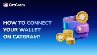 How to Connect your Wallet on CatGram