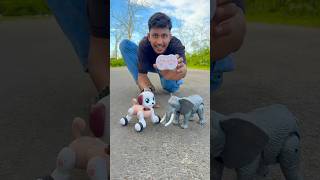 4 wheeler Remote Control Dog robot🐕