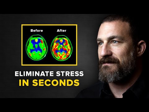 "Unlocking a Stress-Free Life: Insights from Neuroscientist Andrew Huberman"