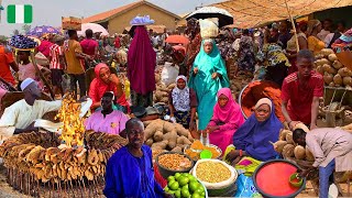 The Niger Republic🇳🇪 - Nigeria 🇳🇬 Border Market, Jigawa Nigeria, West Africa