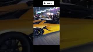 Lamborghini super models - Aventador SVJ model