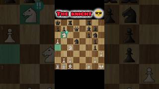 Only Tal Can Play Like This #shorts #chess #chesstips