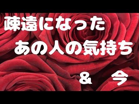 疎遠になったあの人の気持ち＆今　家族・恋人・友人etc⋯