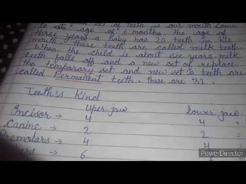 CLASS 4 😊CHAPTER 2 __STRUCTURE OF TEETH