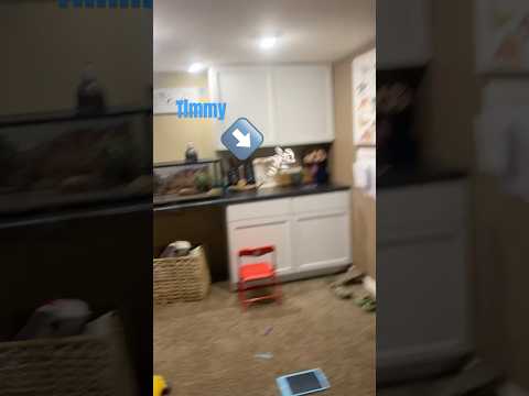 Goofy sequences of Timmy getting injured #funny #goofyahh