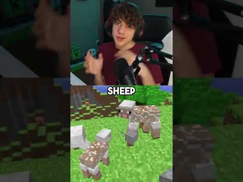 Minecraft's Removed Armor!