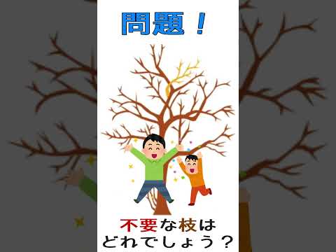 【植木剪定講座】不要な枝の見分け方【庭木の剪定】